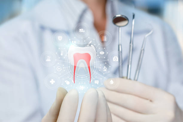 Best Preventive Dentistry  in Bellevue, IL